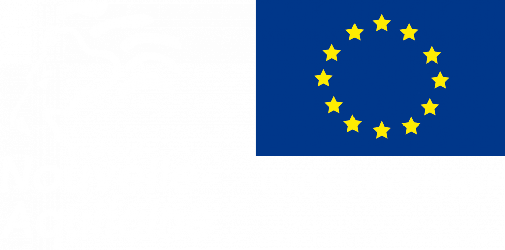 Logo-UE-FEADER copie.png